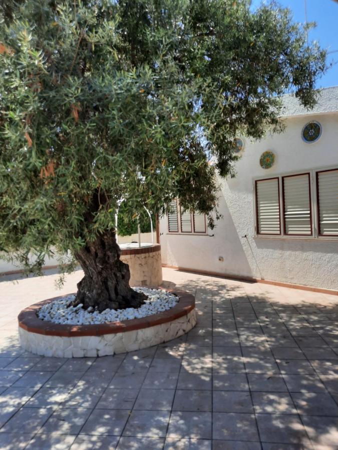Villa Nina Fontane Bianche Εξωτερικό φωτογραφία